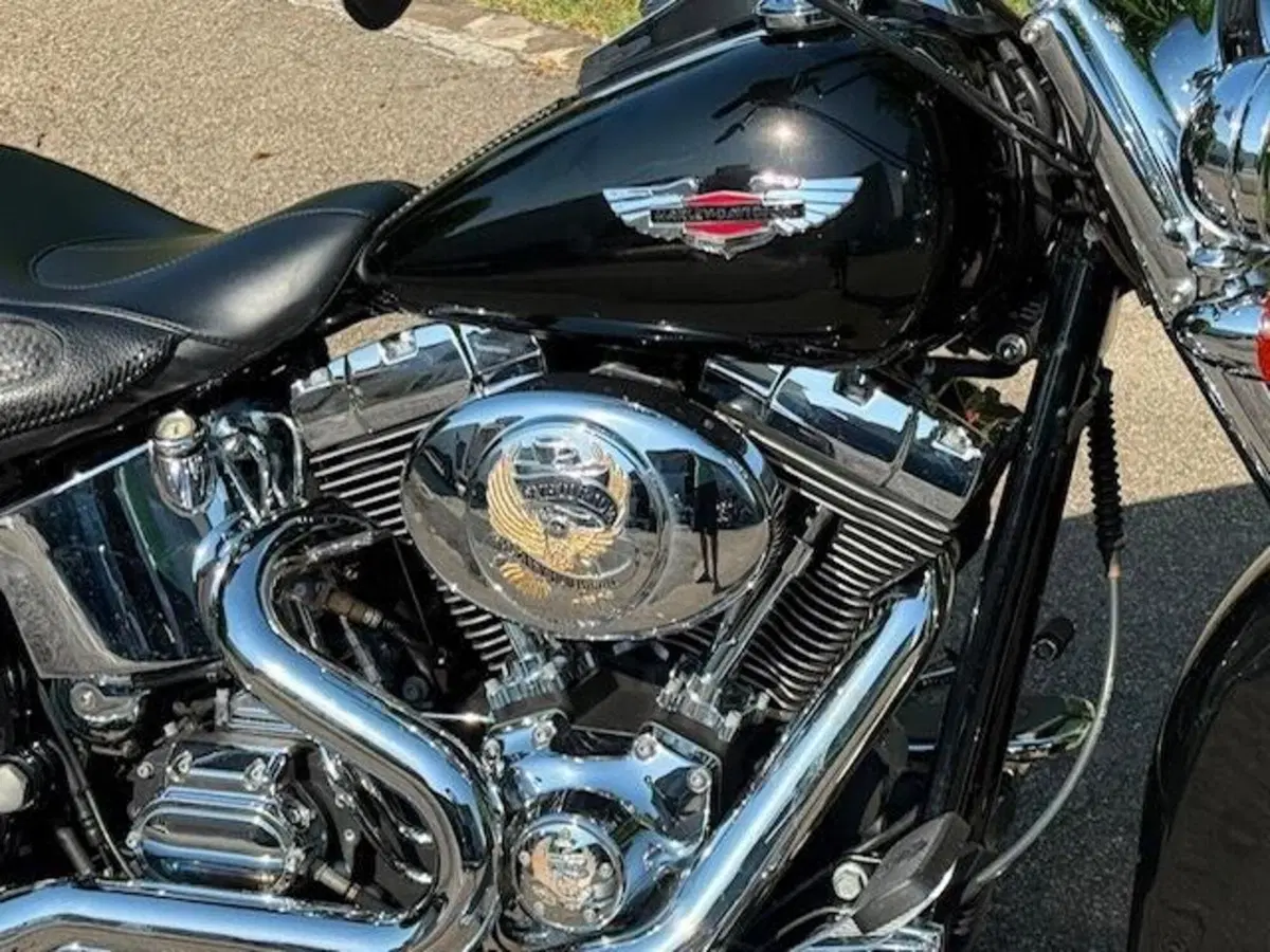 Harley-Davidson 1450 Deluxe (2005 - 06) - FLSTNI (2)