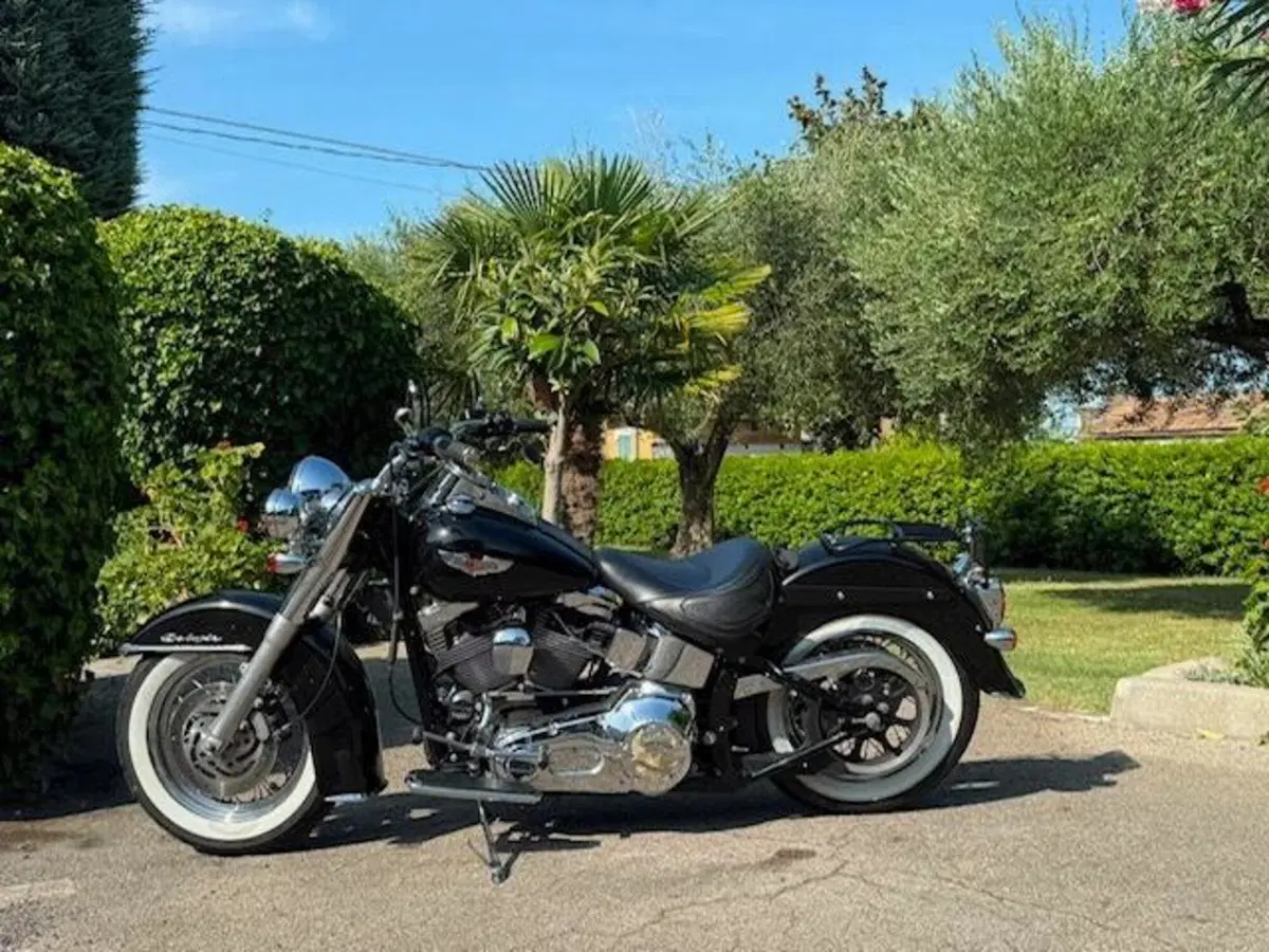 Harley-Davidson 1450 Deluxe (2005 - 06) - FLSTNI (3)