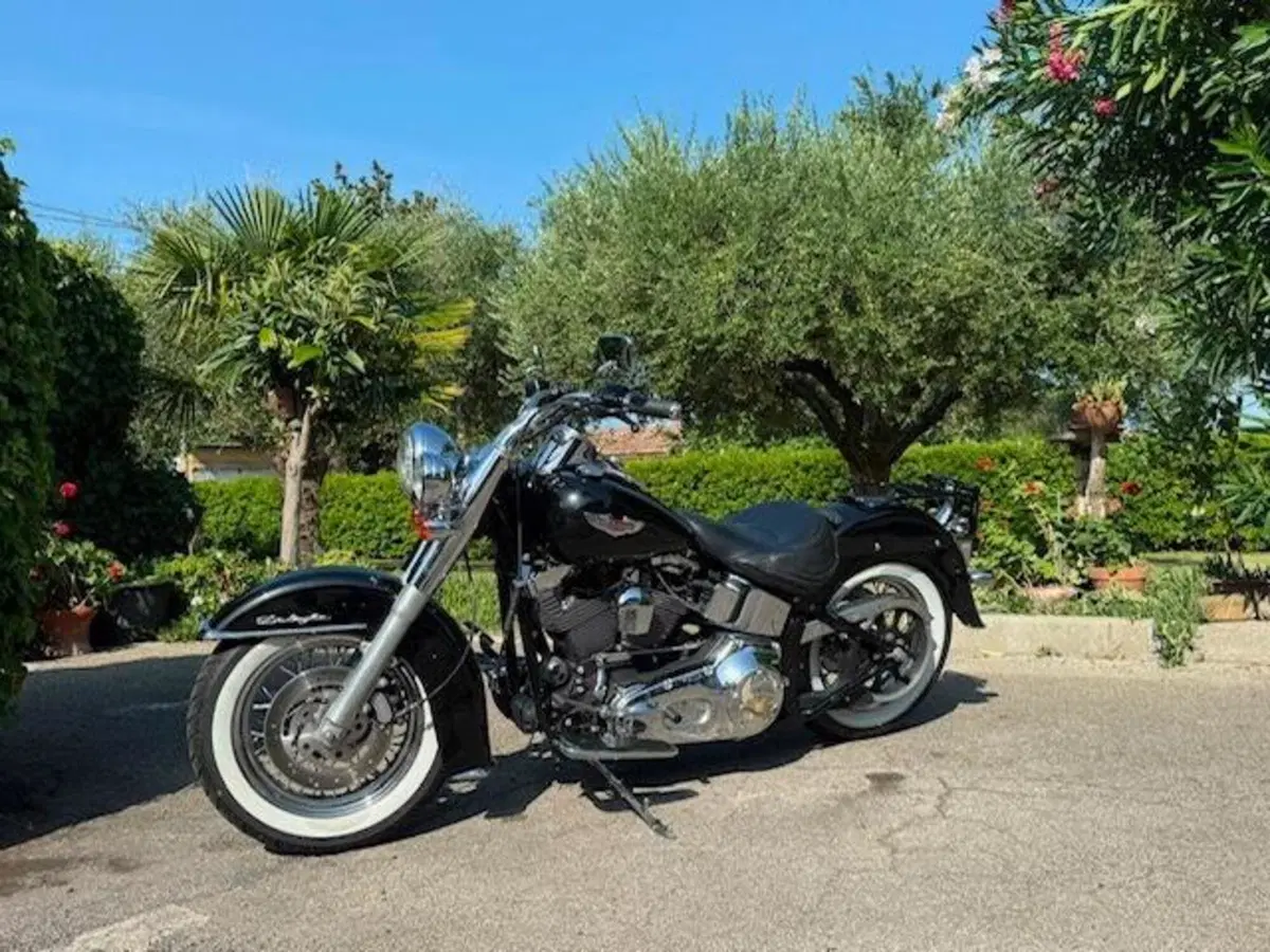 Harley-Davidson 1450 Deluxe (2005 - 06) - FLSTNI (5)