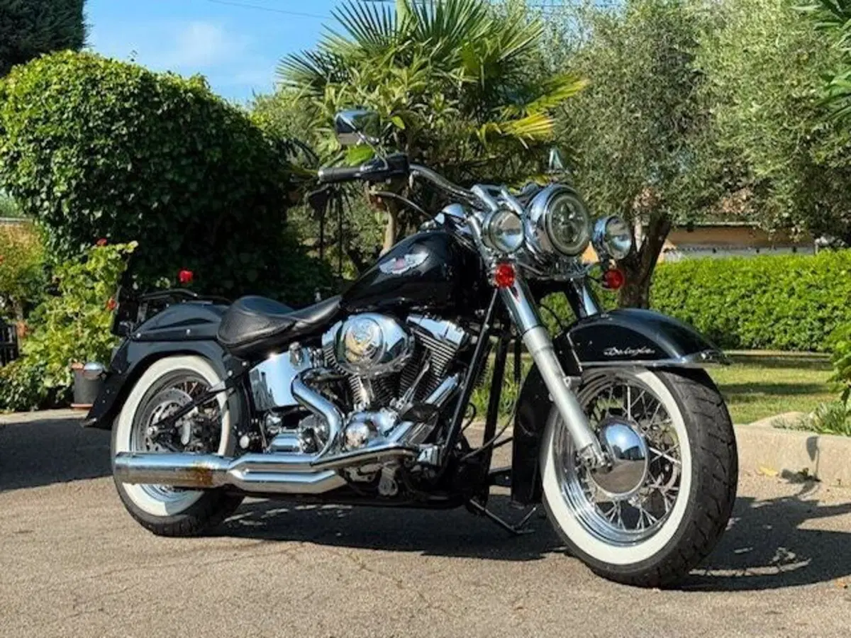 Harley-Davidson 1450 Deluxe (2005 - 06) - FLSTNI (9)