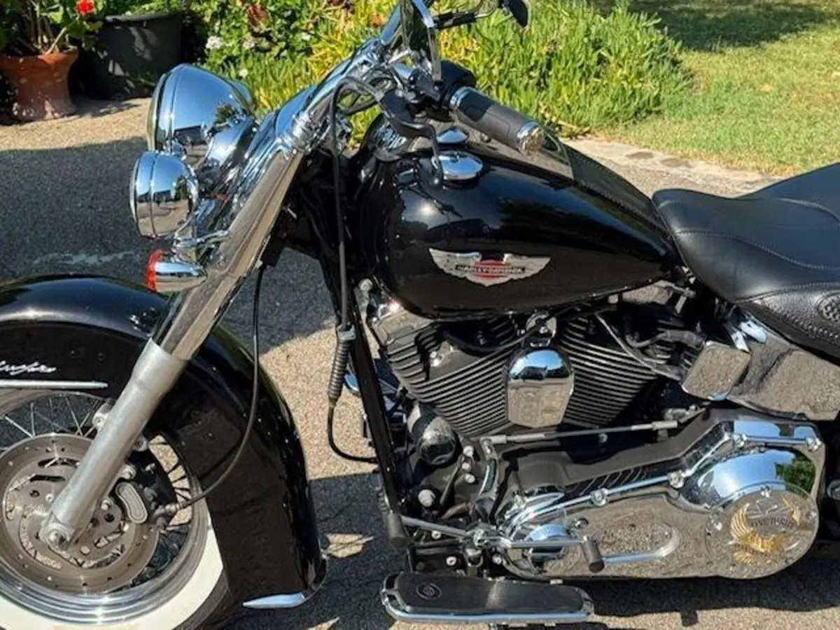 Harley-Davidson 1450 Deluxe (2005 - 06) - FLSTNI (11)