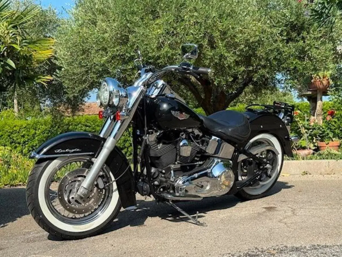 Harley-Davidson 1450 Deluxe (2005 - 06) - FLSTNI (12)