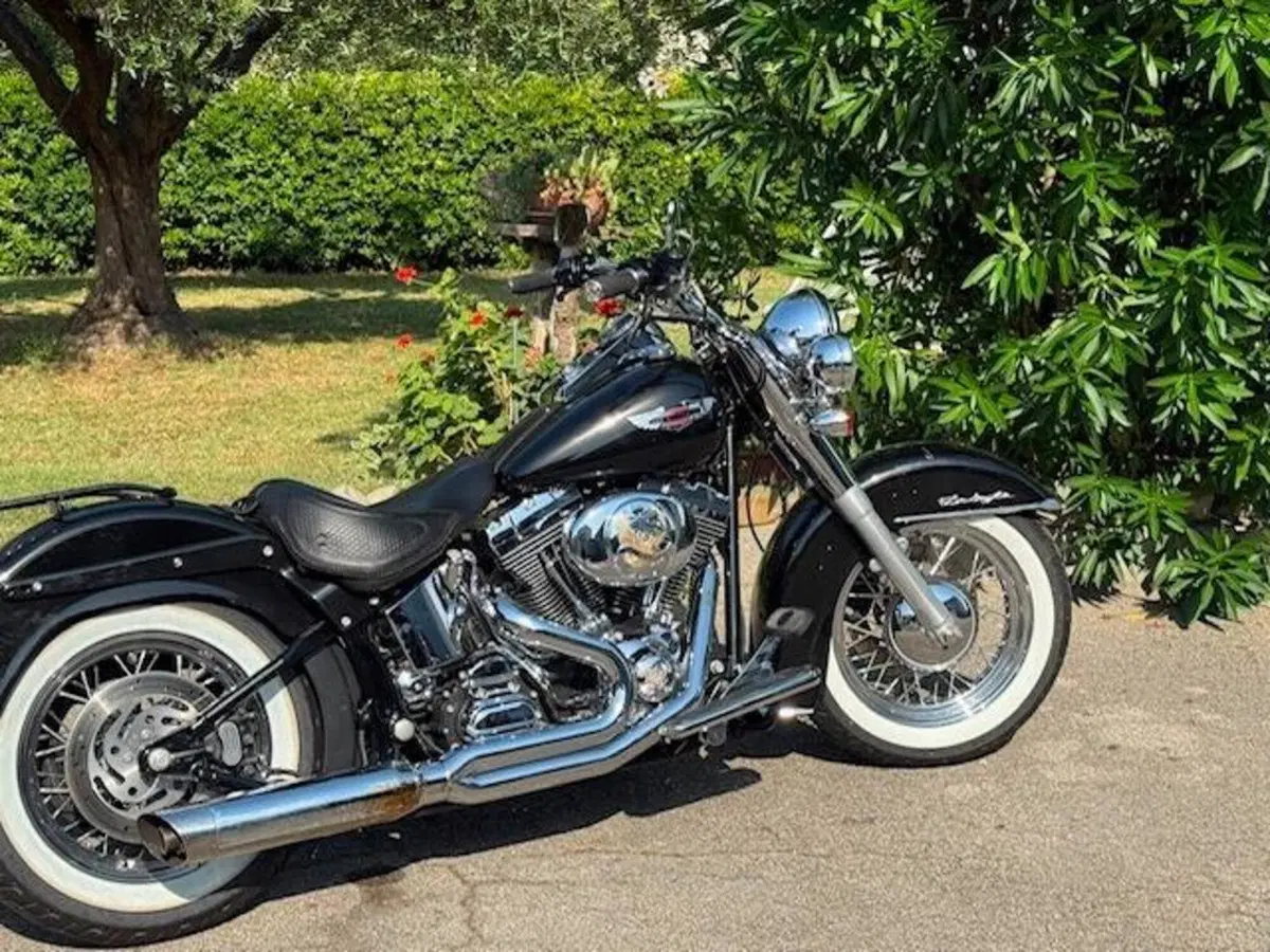 Harley-Davidson 1450 Deluxe (2005 - 06) - FLSTNI (17)