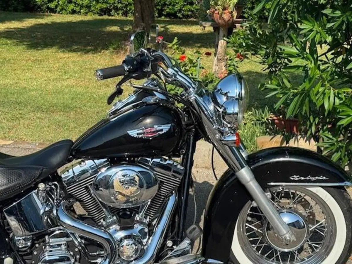 Harley-Davidson 1450 Deluxe (2005 - 06) - FLSTNI (19)