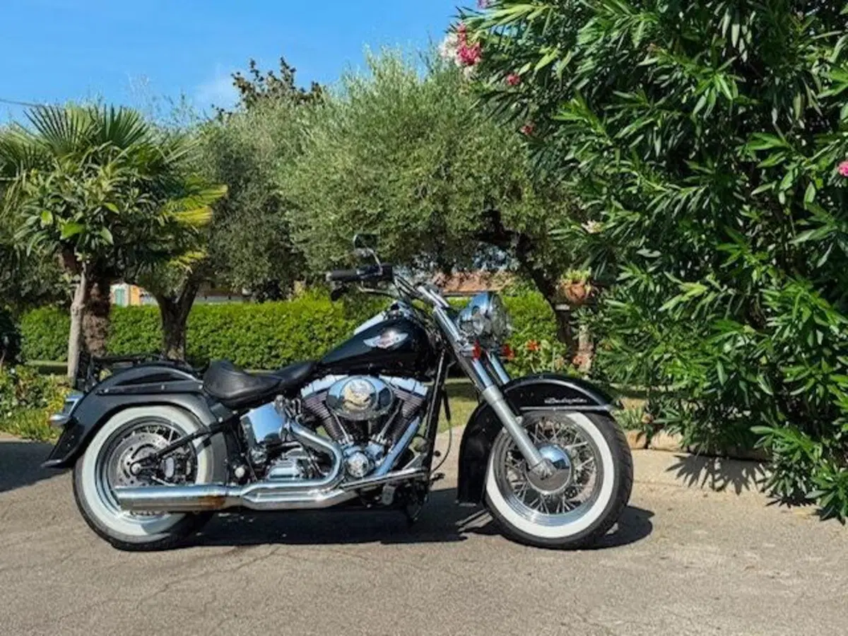 Harley-Davidson 1450 Deluxe (2005 - 06) - FLSTNI