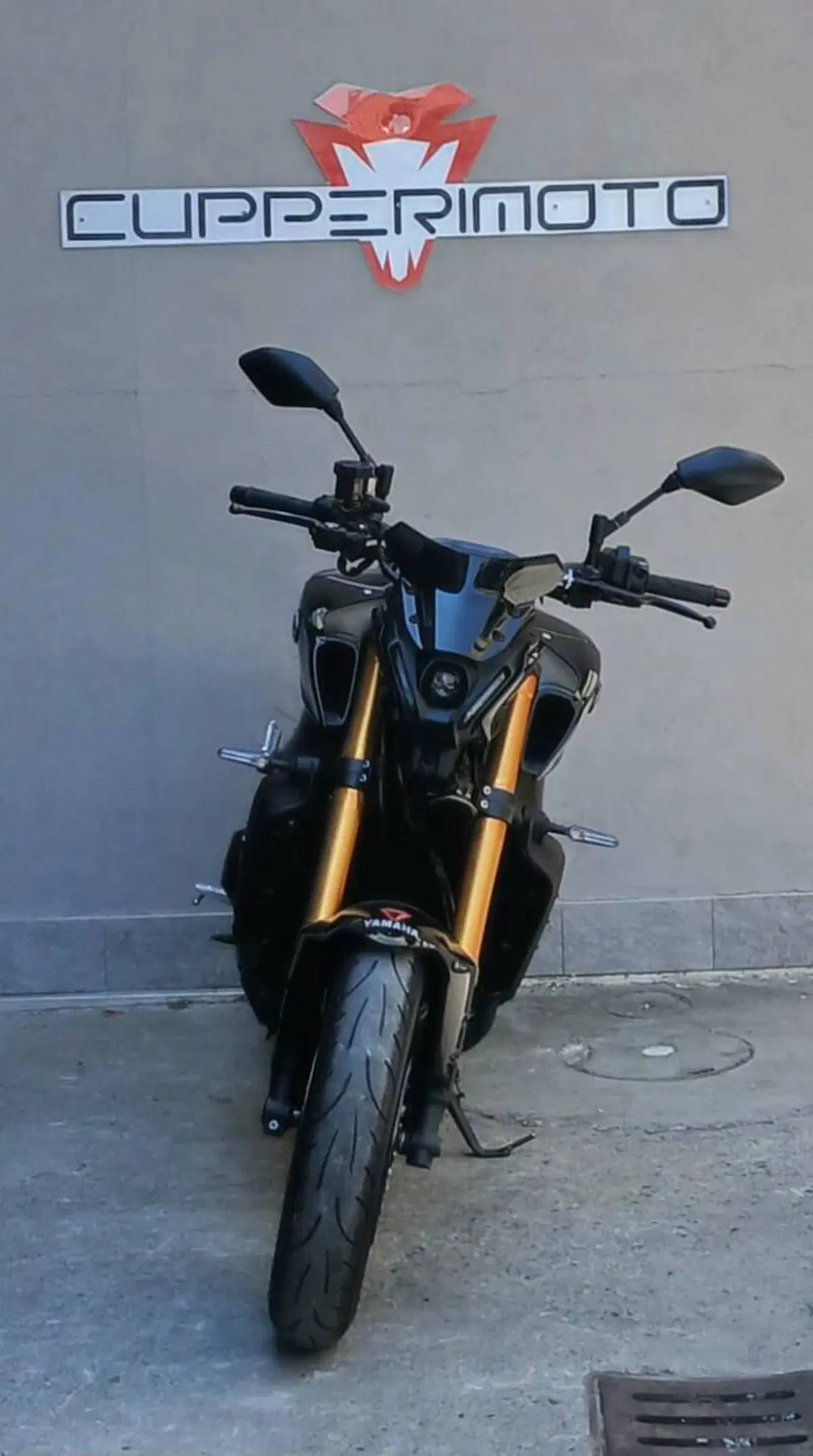 Yamaha MT-09 SP (2021 - 23) (5)