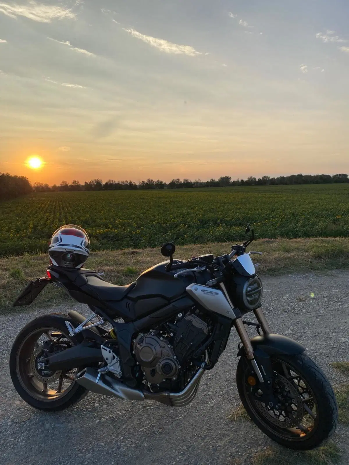 Honda CB 650 R (2021 - 23) (6)