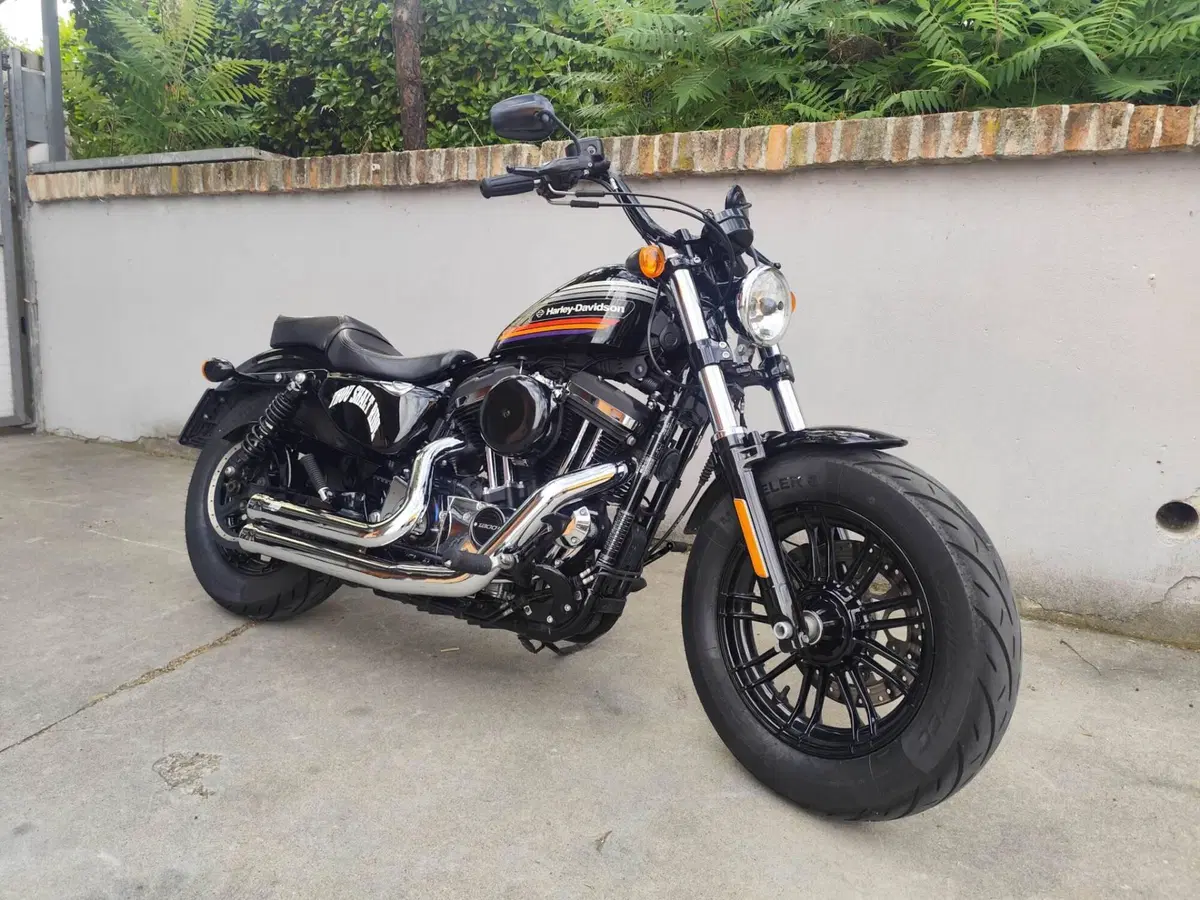 Harley-Davidson 1200 Forty-Eight (2016 - 20) (3)