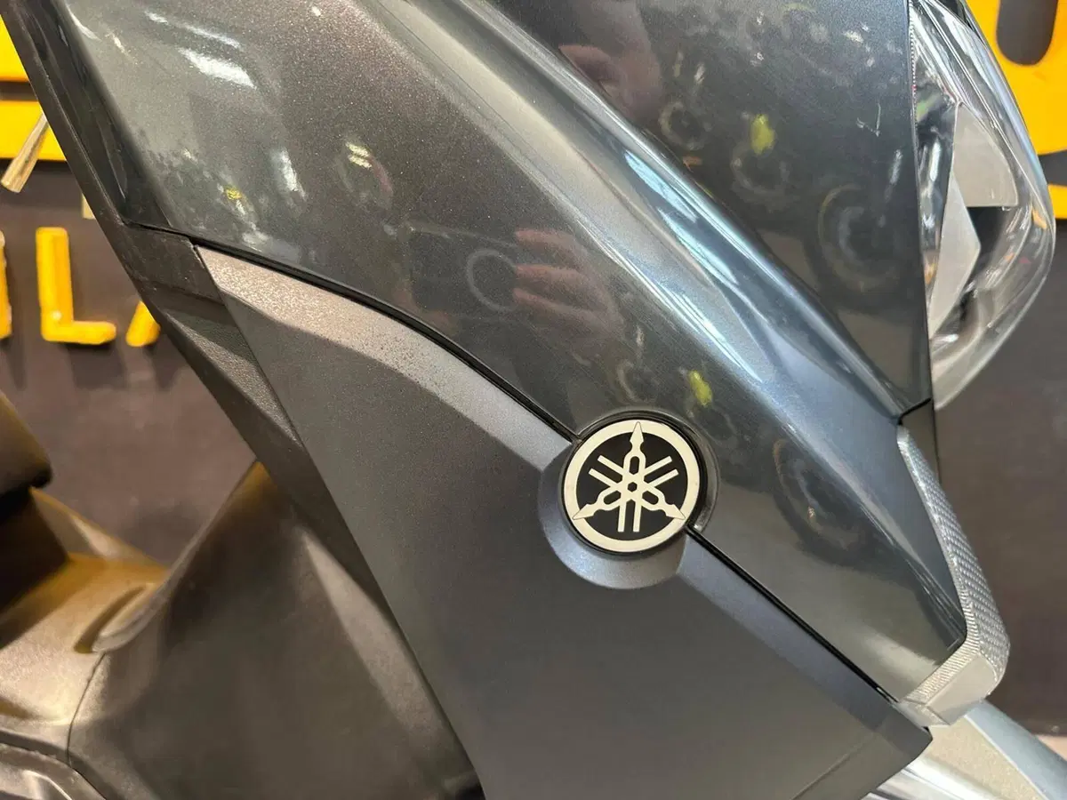 Yamaha X-Max 400 ABS (2017 - 20) (6)