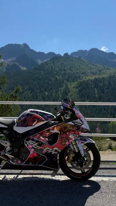 Suzuki GSX R 600 (2004 - 05) usata