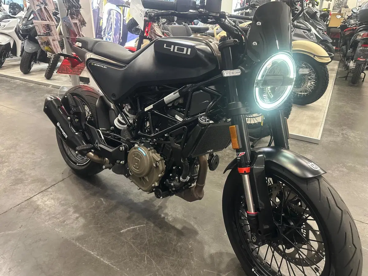 Husqvarna Svartpilen 401 (2024 - 26) (7)