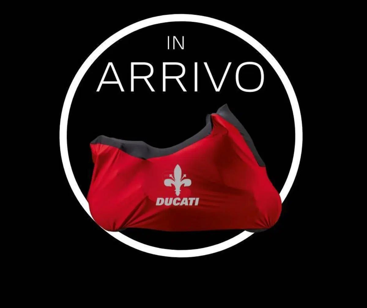 Ducati Multistrada 950 S (2019 - 20)