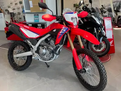 Honda CRF 300L (2025 - 26) nuova