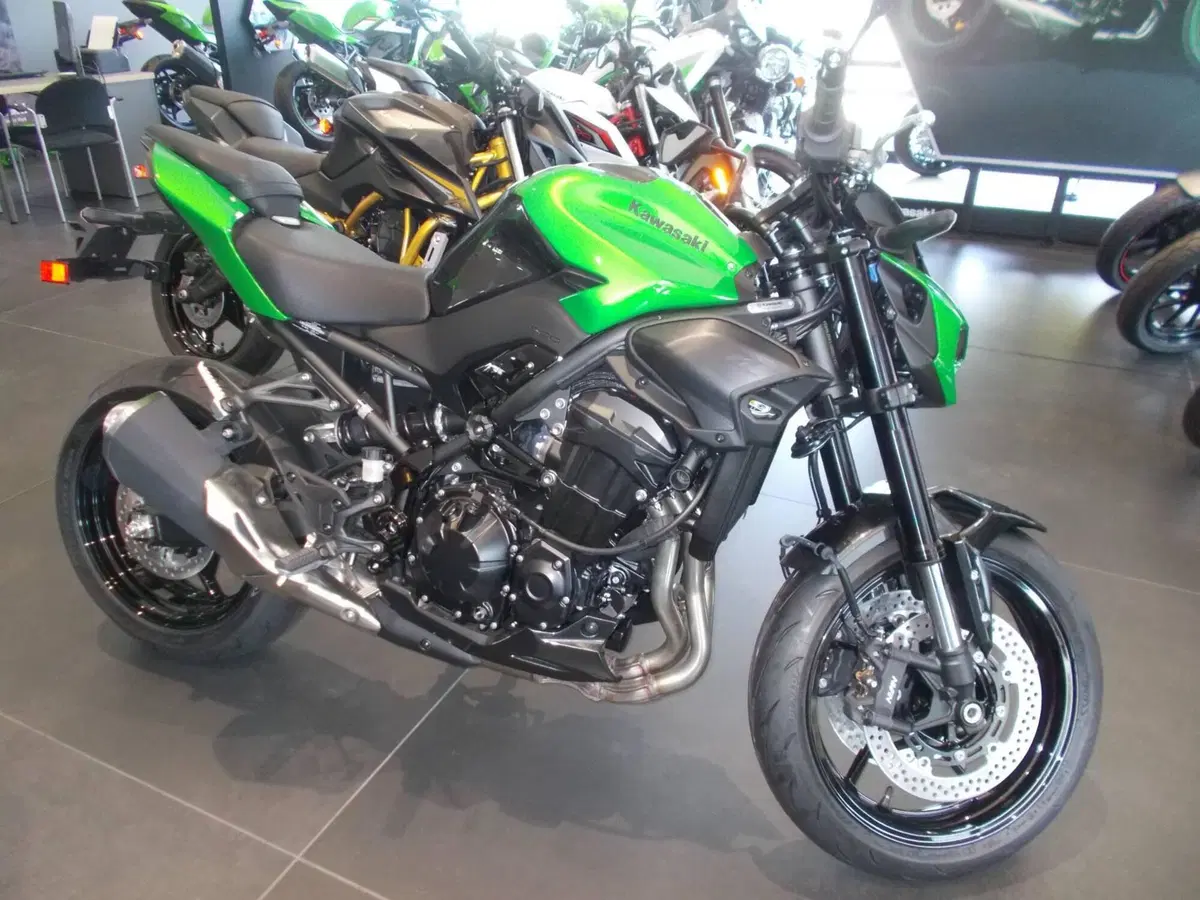 Kawasaki Z 900 (2025 - 26)