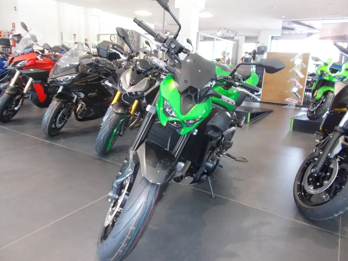 Kawasaki Z 900 (2025 - 26) (2)