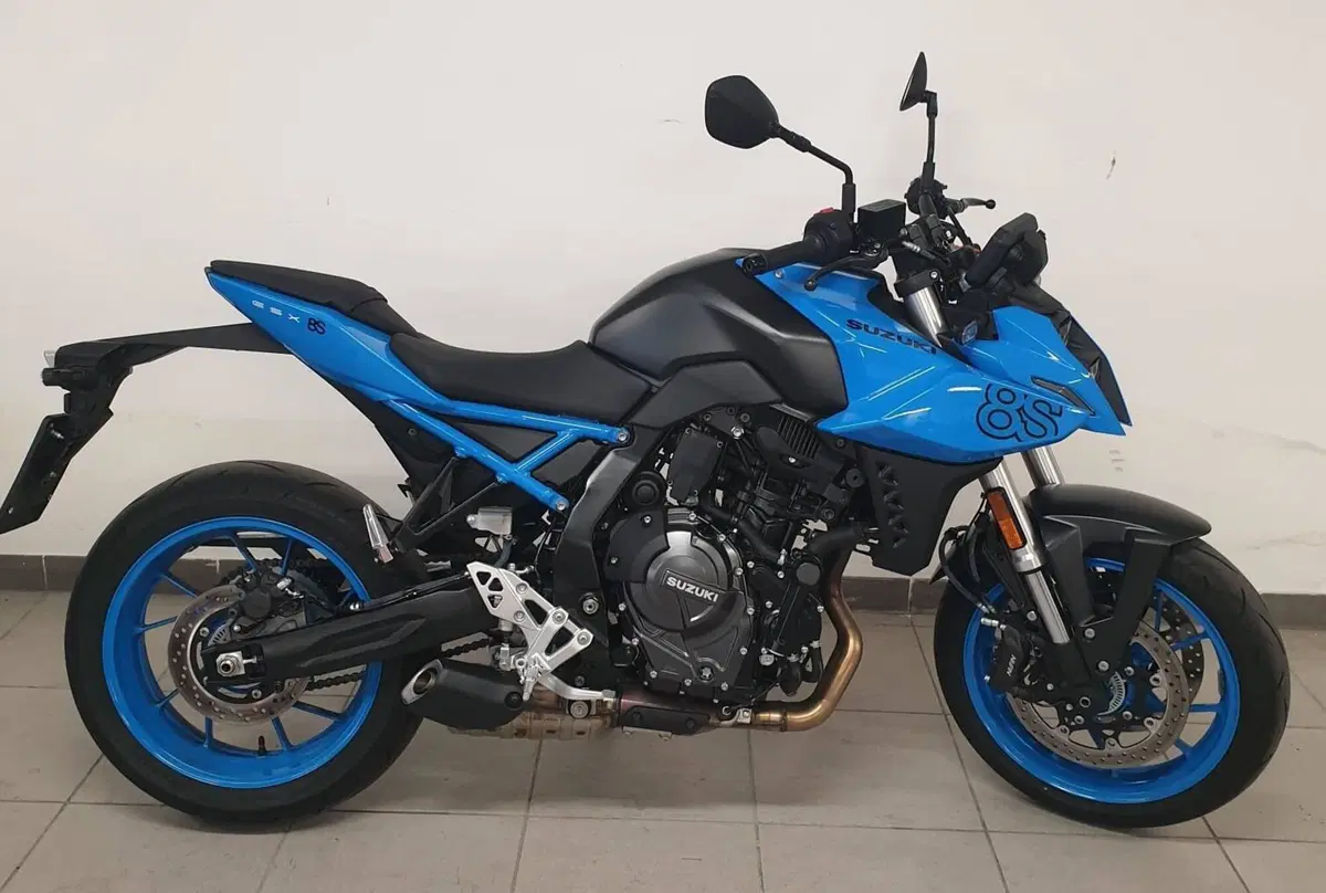 Suzuki GSX-8S (2023 - 24) (2)