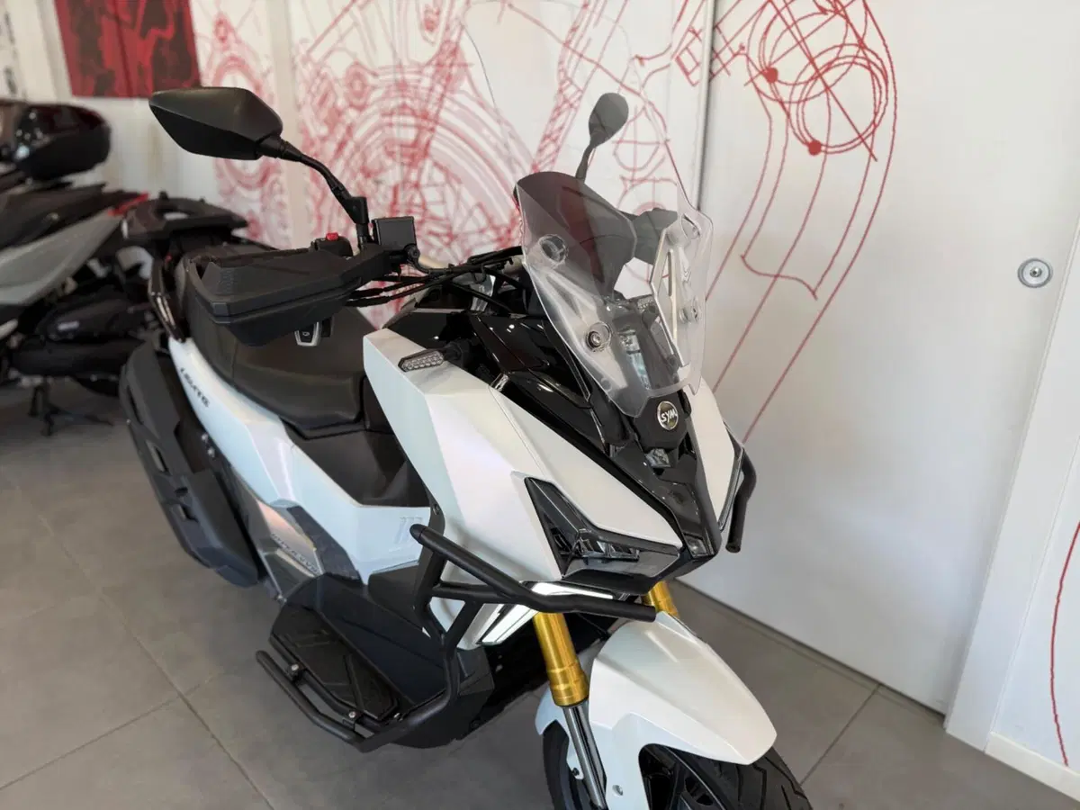 Sym ADXTG 400 (2025 - 26) (9)