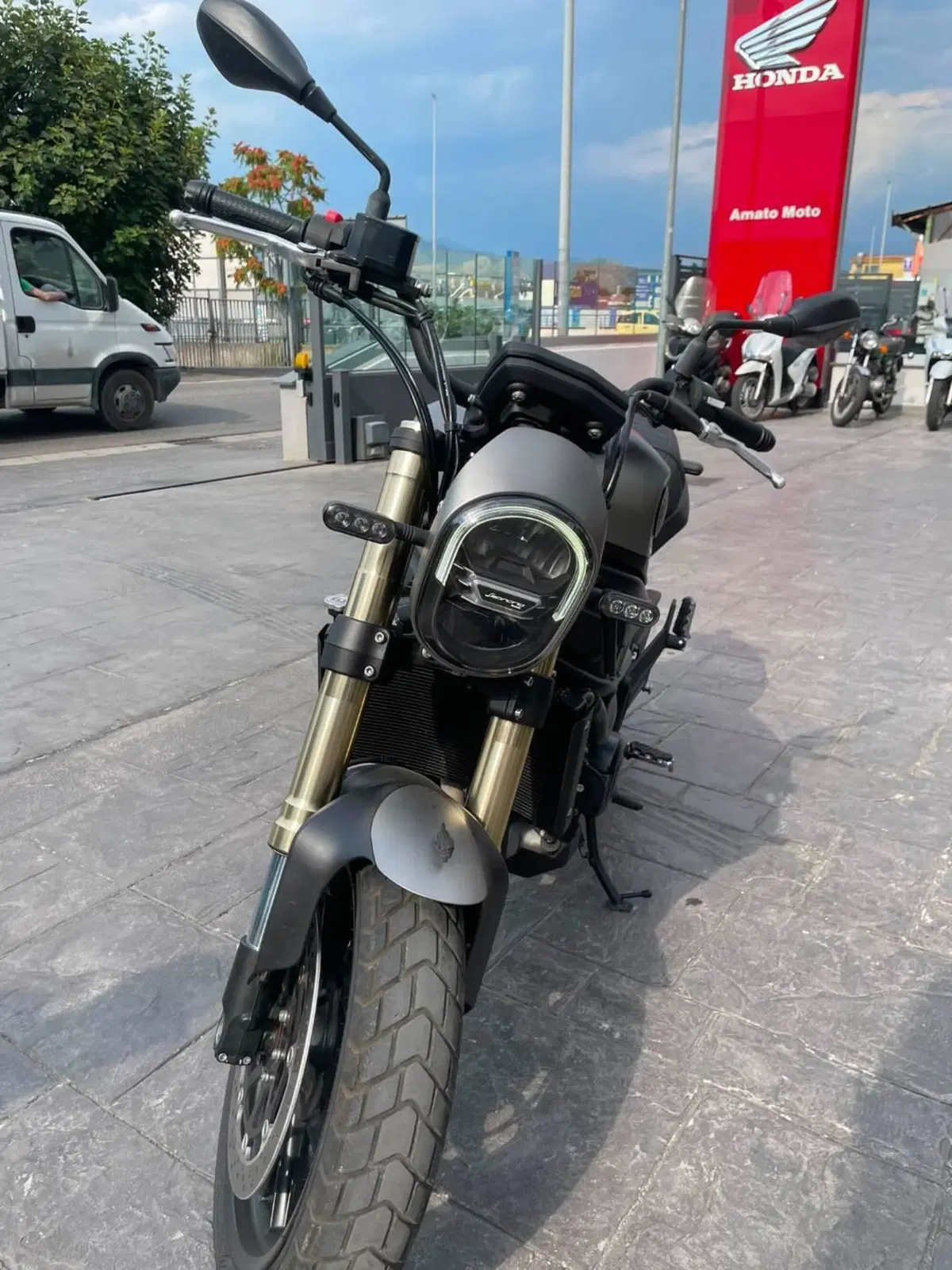 Benelli Leoncino 800 (2022 - 26) (4)