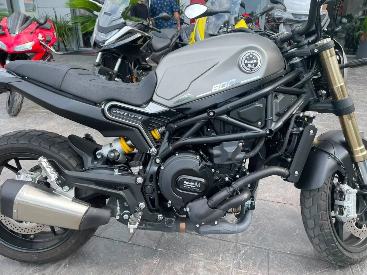 Benelli Leoncino 800 (2022 - 26) (5)