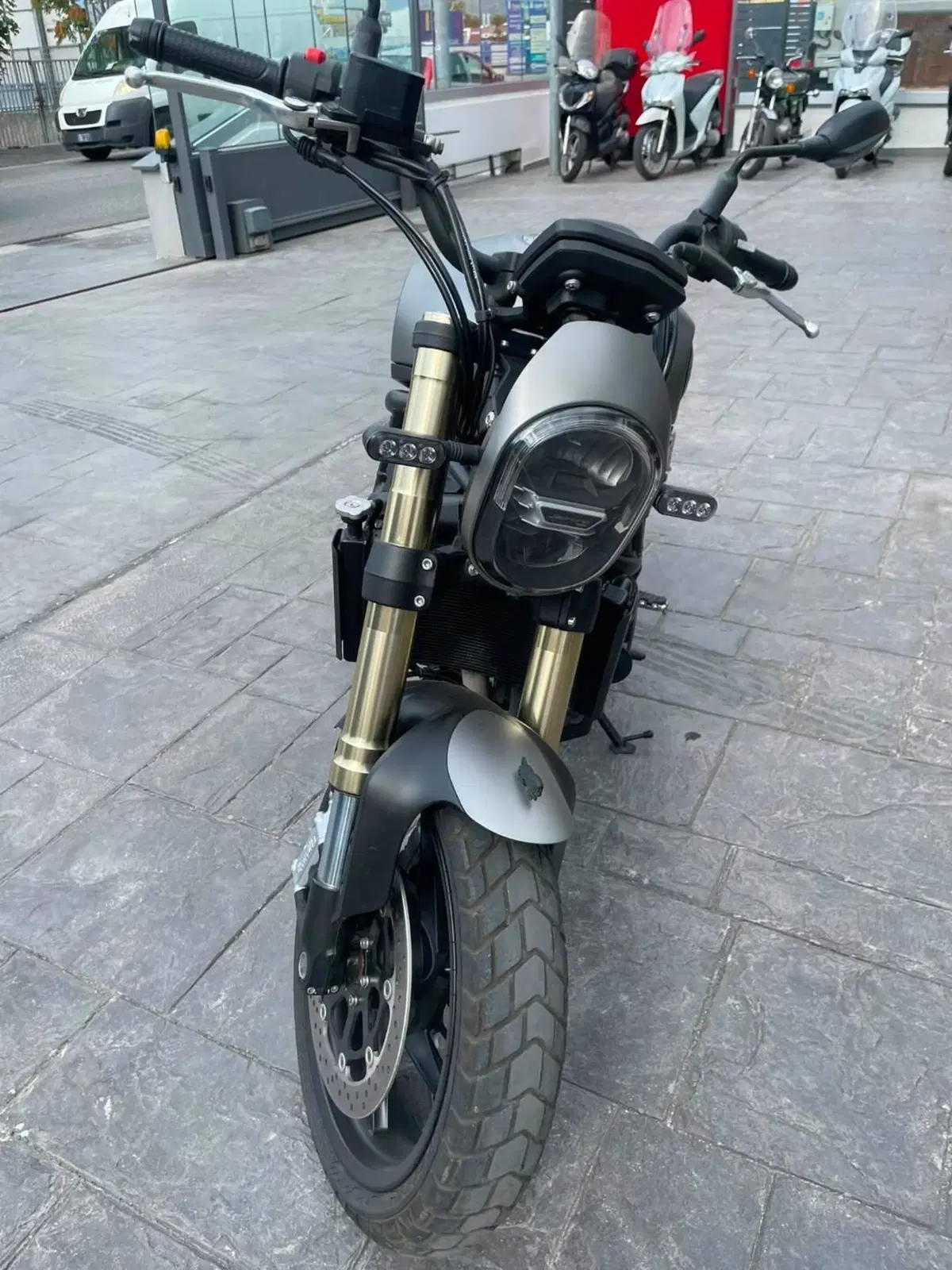 Benelli Leoncino 800 (2022 - 26) (6)