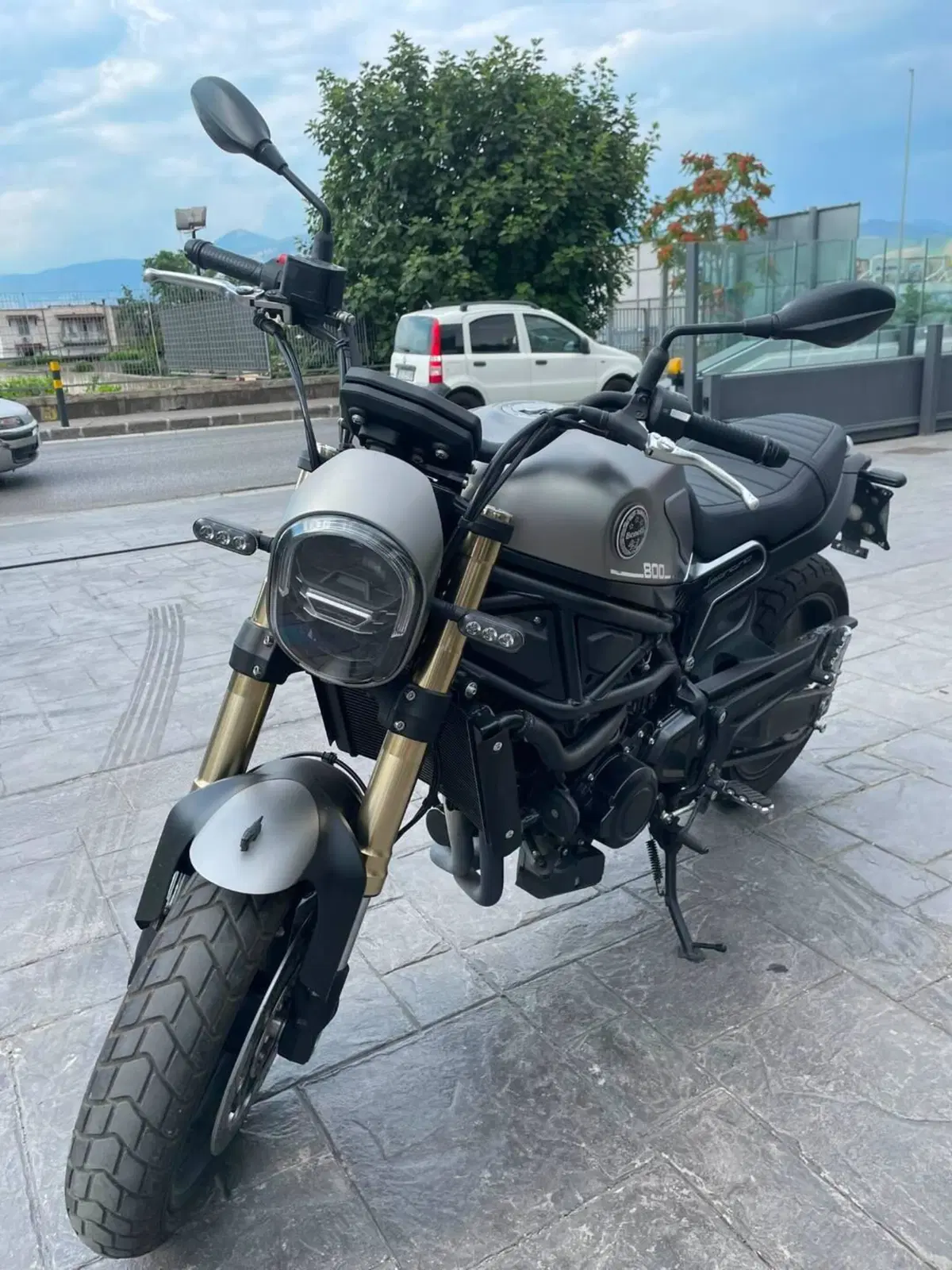 Benelli Leoncino 800 (2022 - 26)