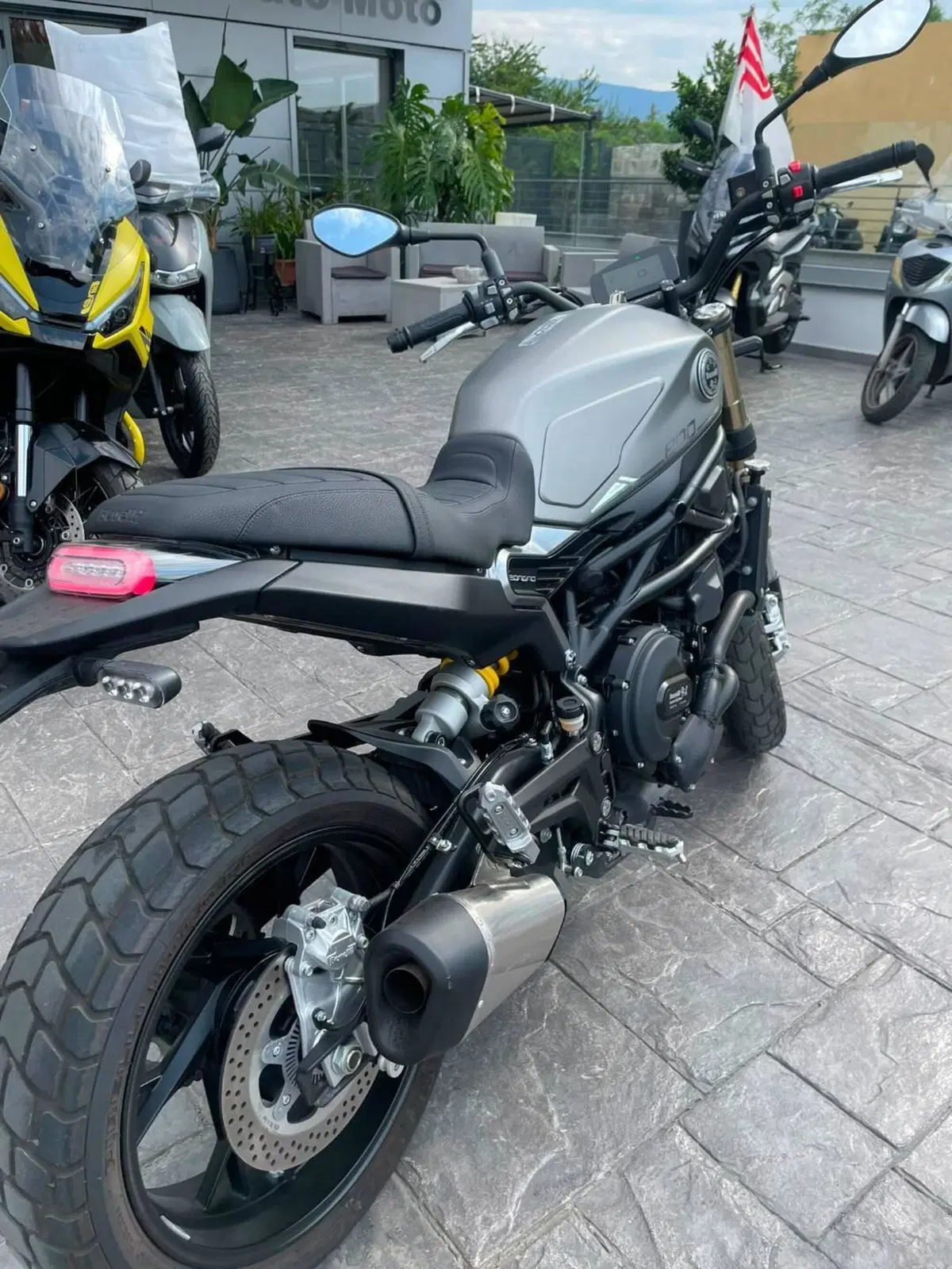 Benelli Leoncino 800 (2022 - 26) (8)