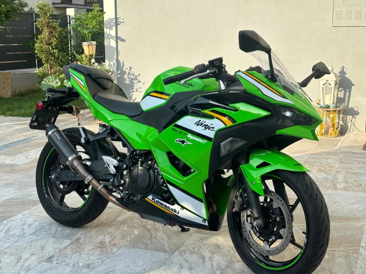 Kawasaki Ninja 500 SE Sport (2025 - 26) (2)