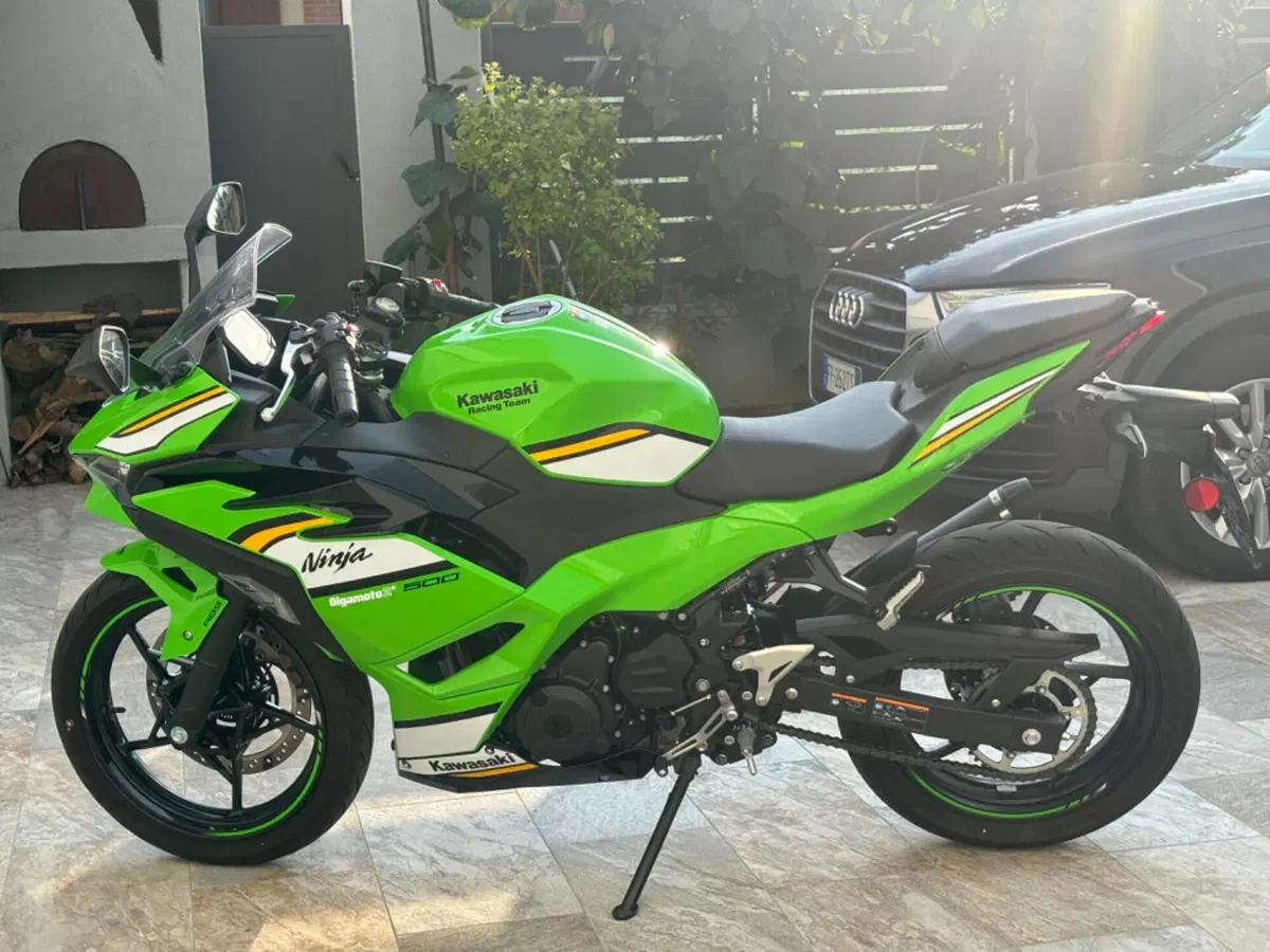 Kawasaki Ninja 500 SE Sport (2025 - 26) (3)