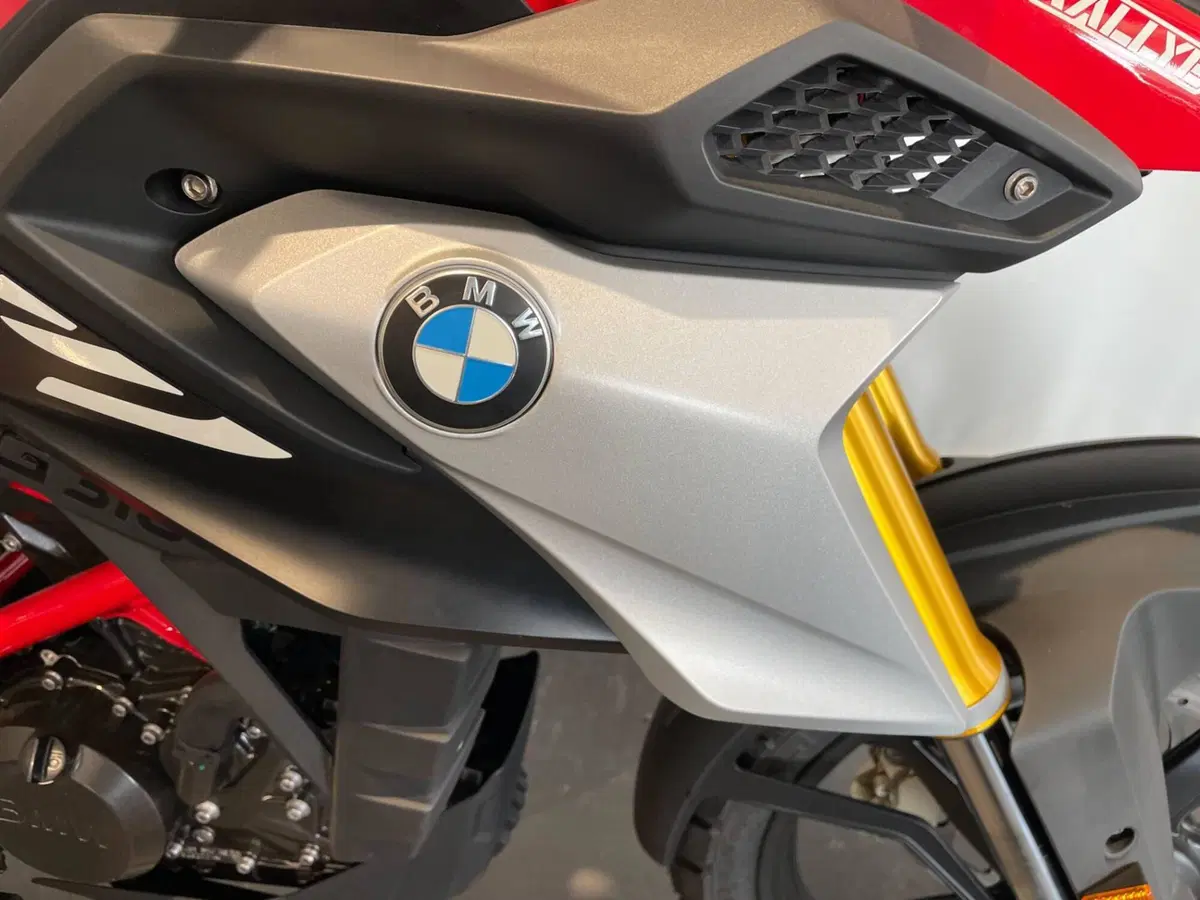 Bmw G 310 GS (2021 - 25) (10)