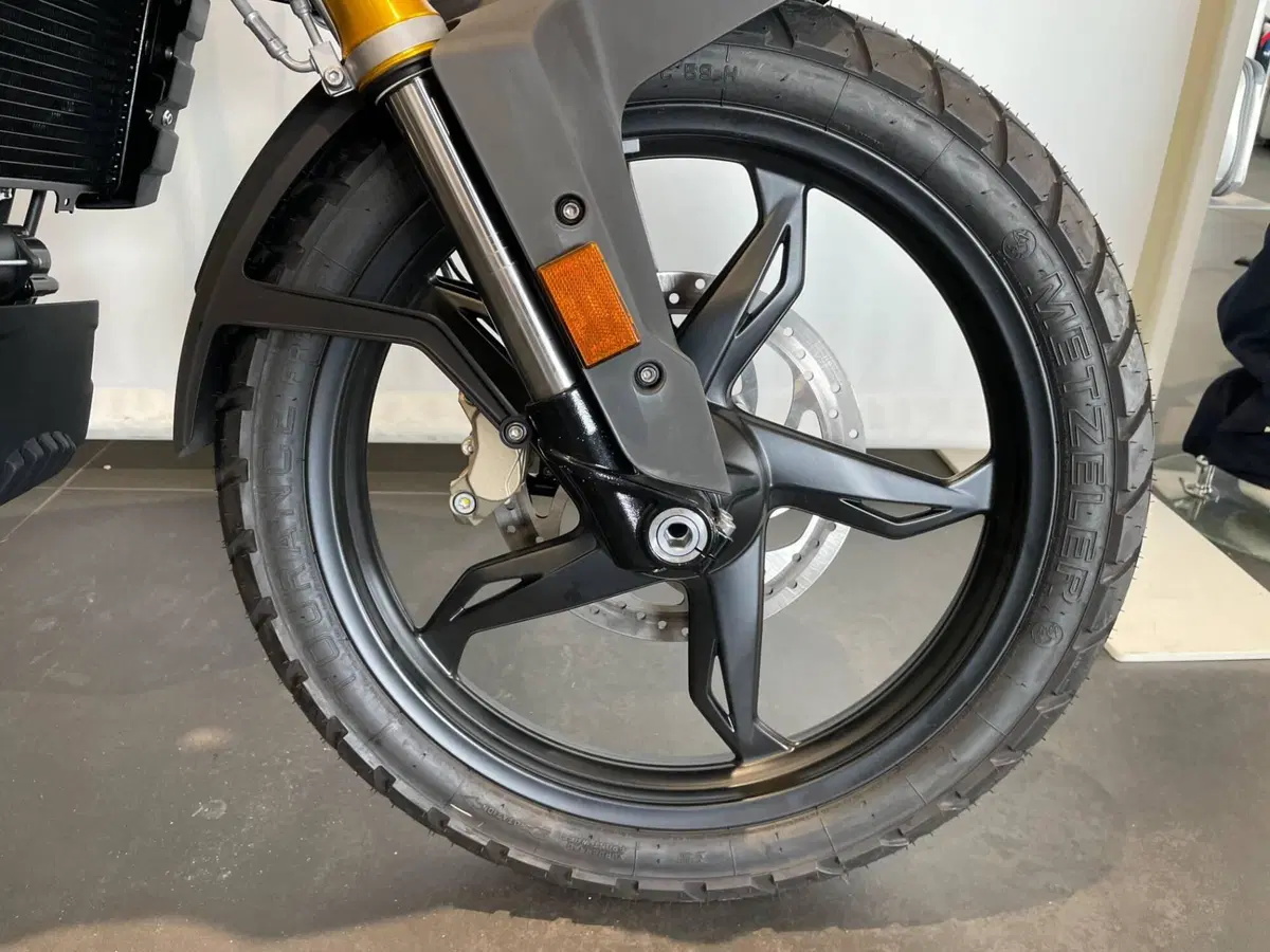 Bmw G 310 GS (2021 - 25) (11)