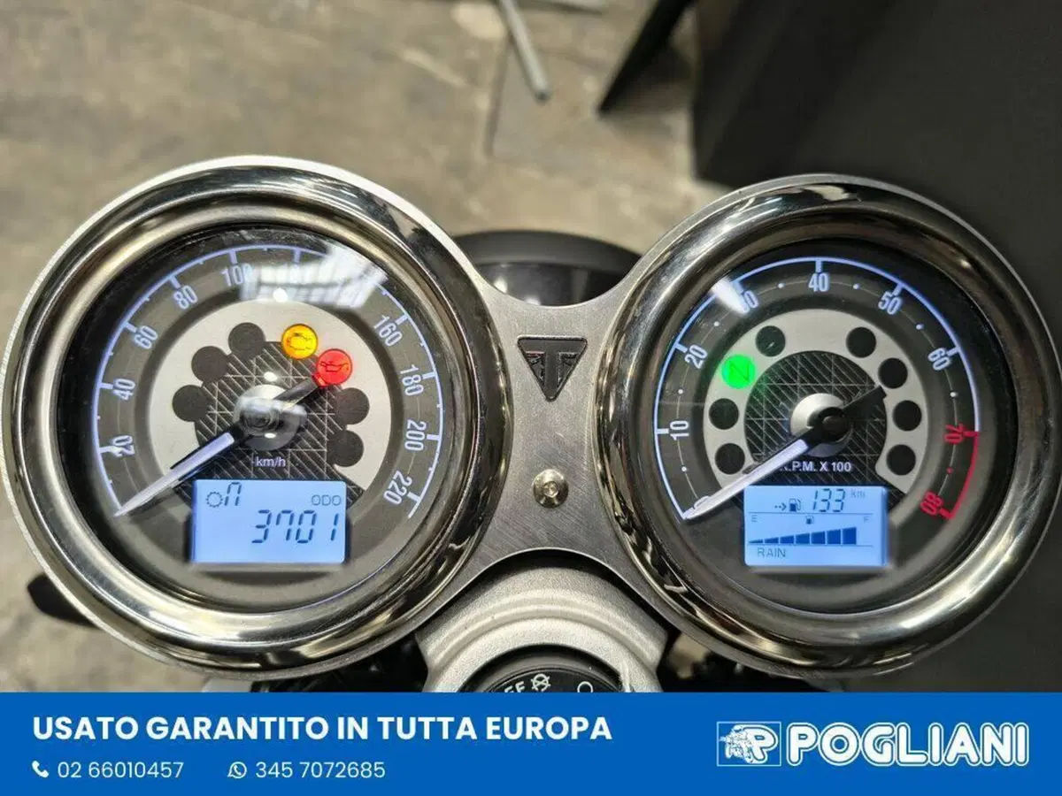 Triumph Speed Twin 1200 (2021 - 24) (9)