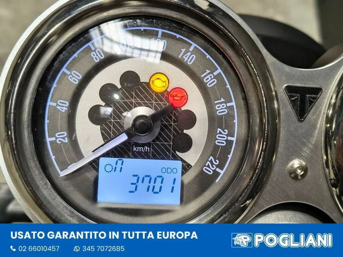 Triumph Speed Twin 1200 (2021 - 24) (10)
