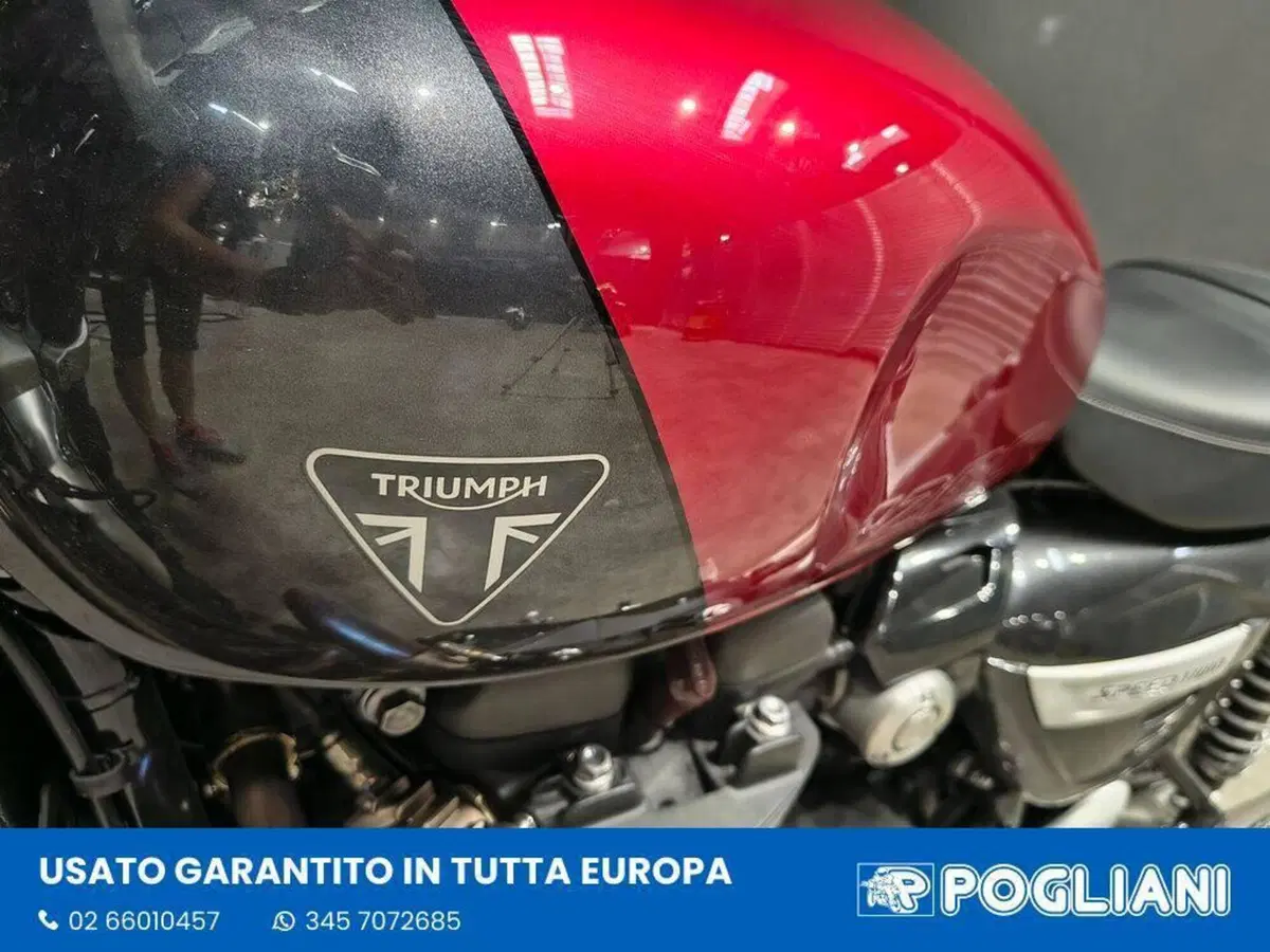 Triumph Speed Twin 1200 (2021 - 24) (13)