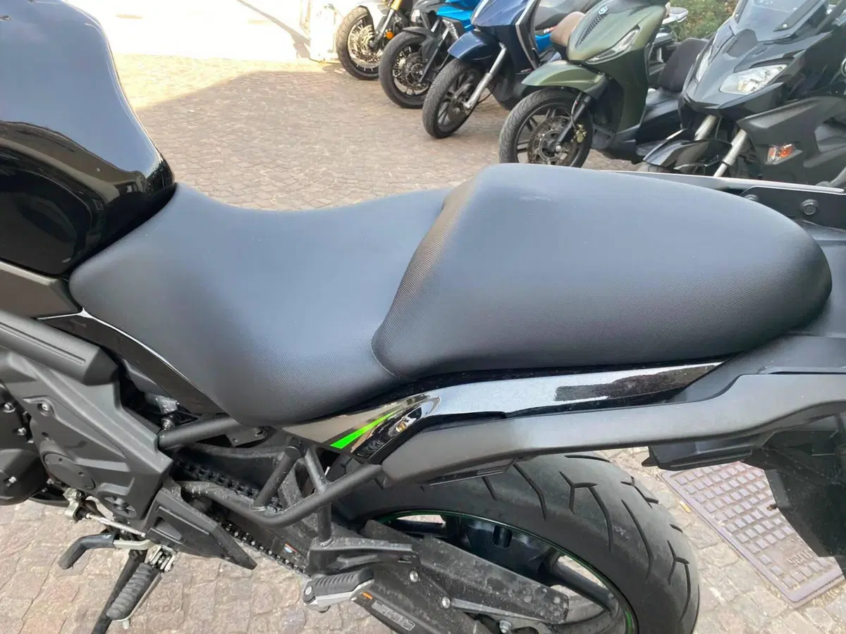 Kawasaki Versys 650 (2025 - 26) (6)