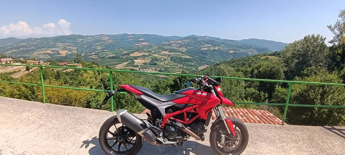 Ducati Hypermotard 939 (2016 - 18) (2)