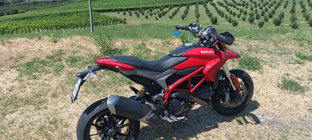 Ducati Hypermotard 939 (2016 - 18) (3)