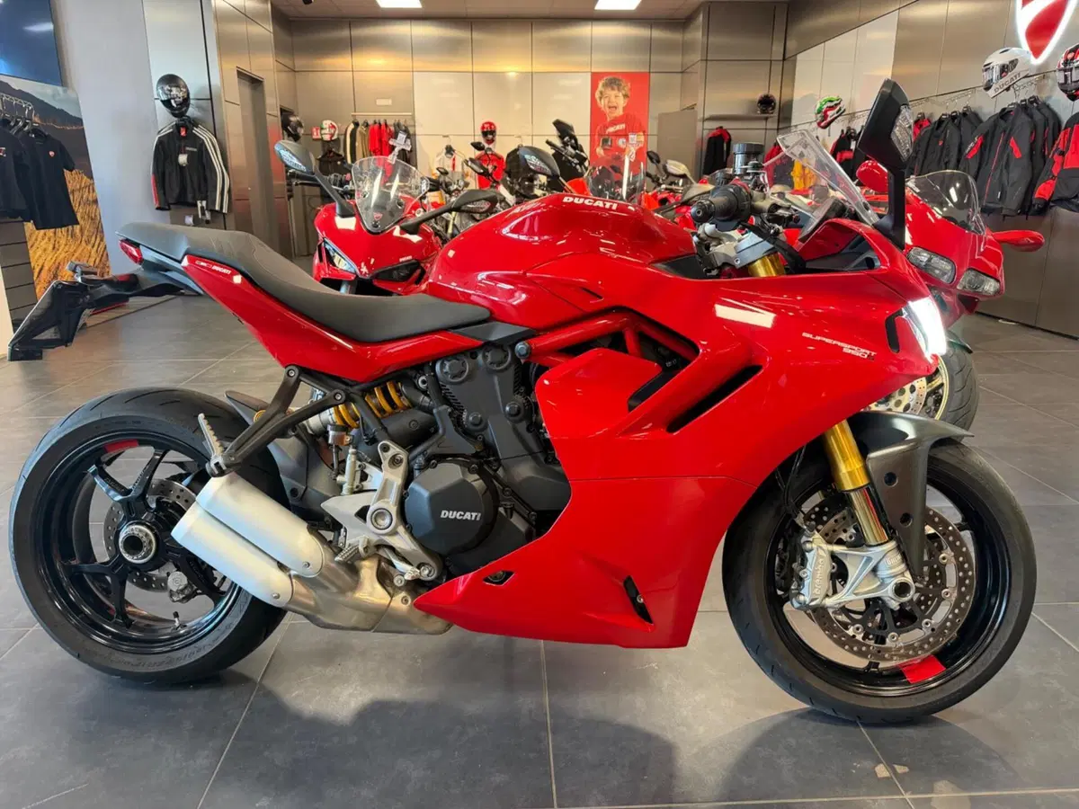 Ducati SuperSport 950 S (2021 - 24)