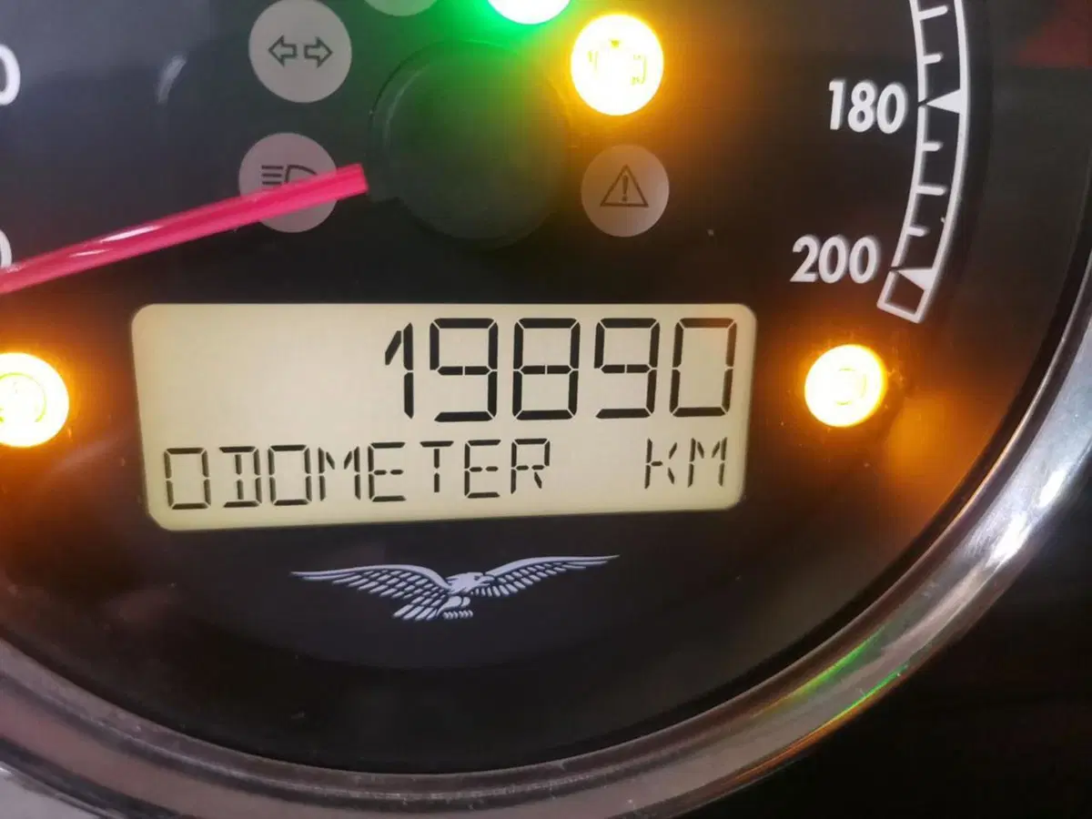 Moto Guzzi V7 Special (2021 - 24) (6)