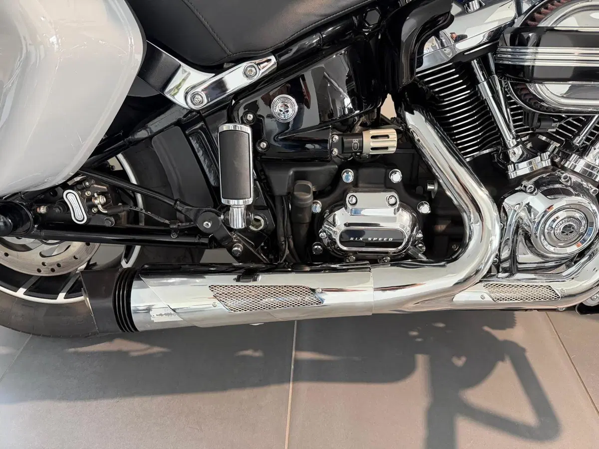 Harley-Davidson Sport Glide (2021 - 25) (2)