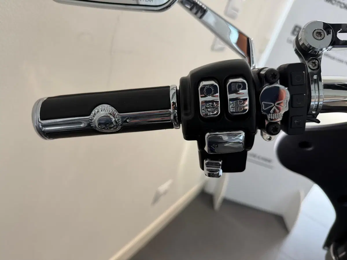 Harley-Davidson Sport Glide (2021 - 25) (7)