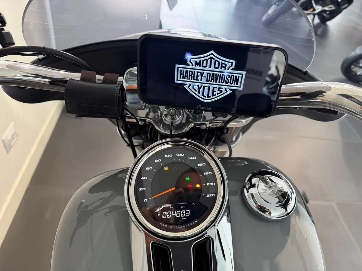 Harley-Davidson Sport Glide (2021 - 25) (8)