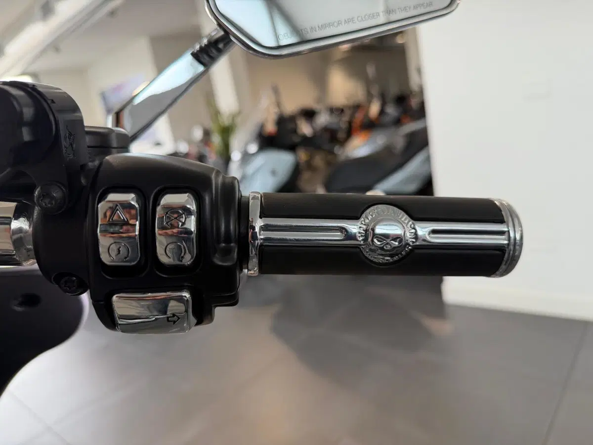 Harley-Davidson Sport Glide (2021 - 25) (9)