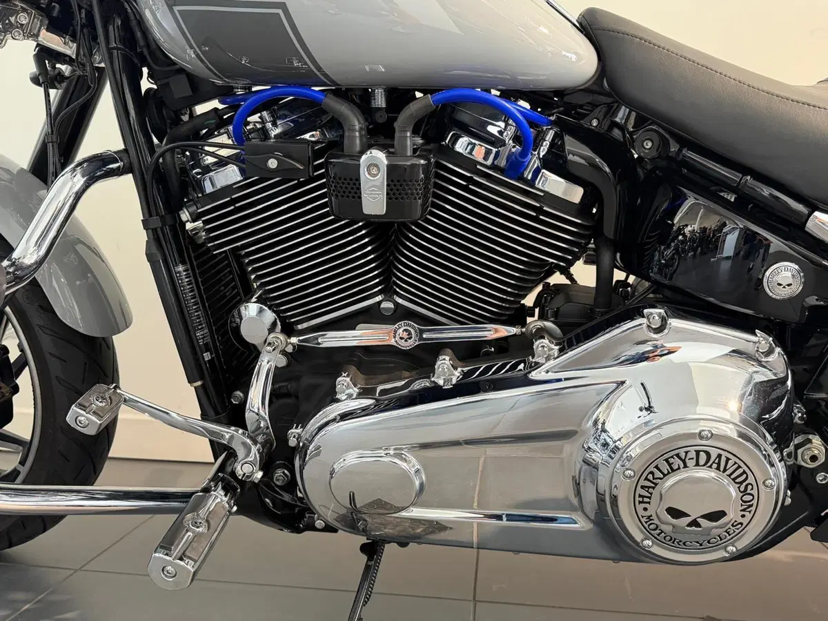 Harley-Davidson Sport Glide (2021 - 25) (10)
