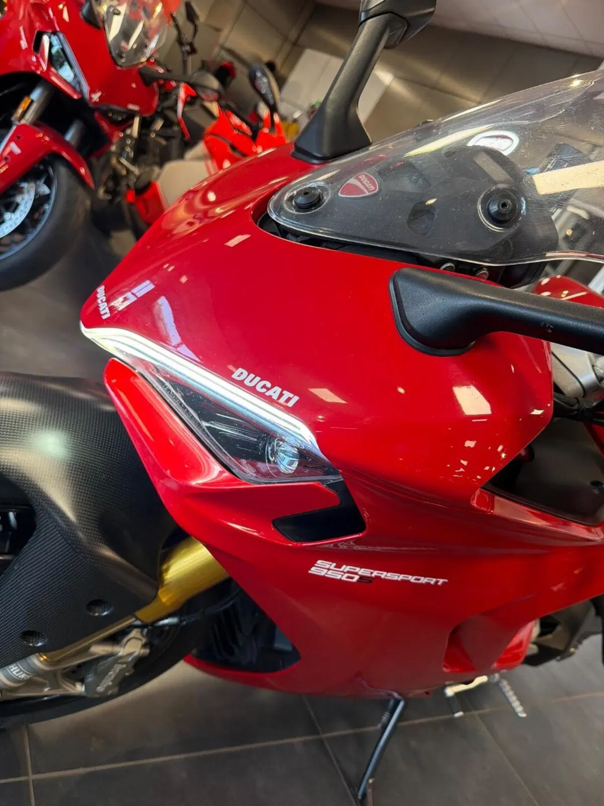Ducati SuperSport 950 S (2021 - 24) (9)