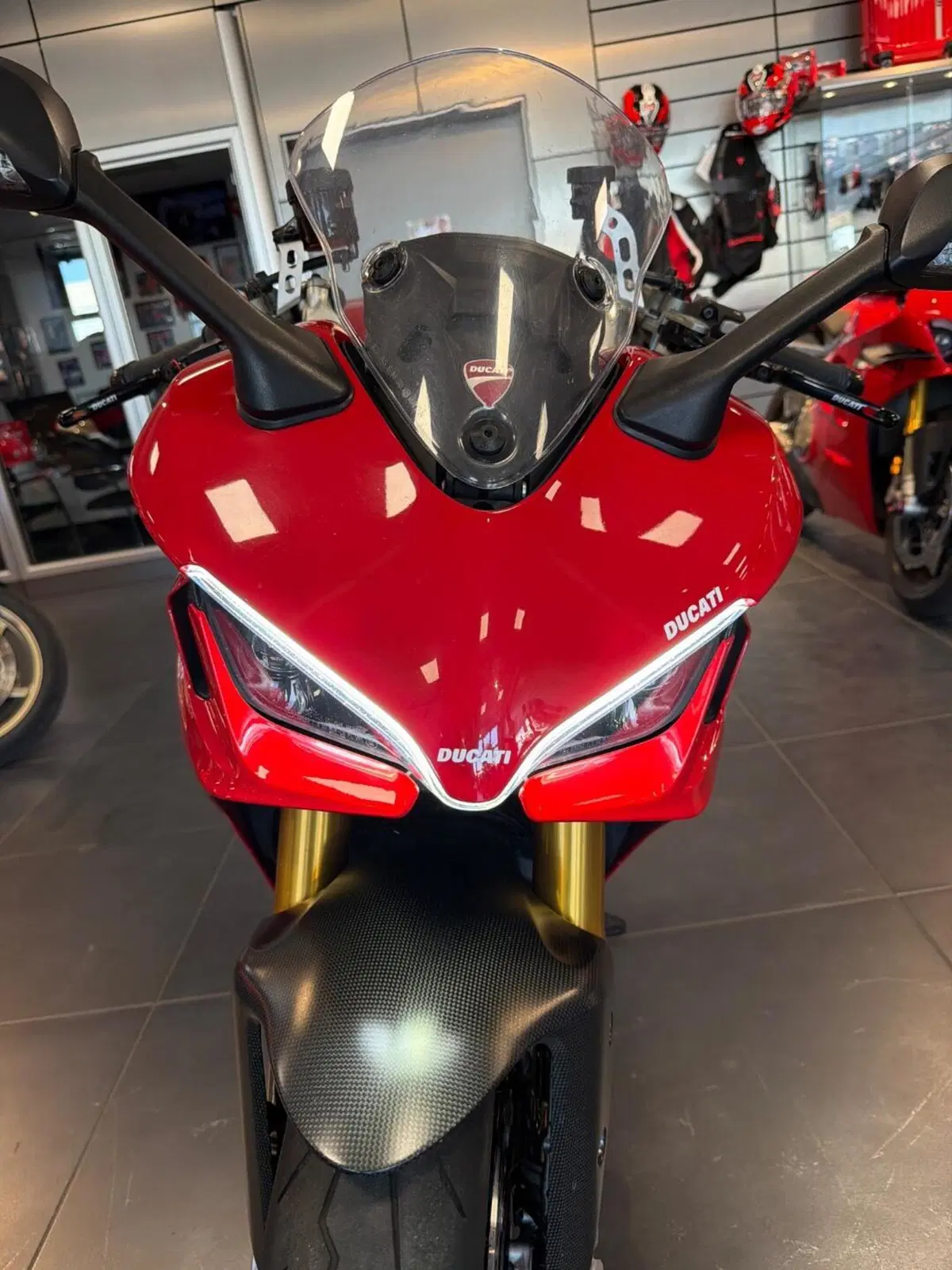 Ducati SuperSport 950 S (2021 - 24) (13)