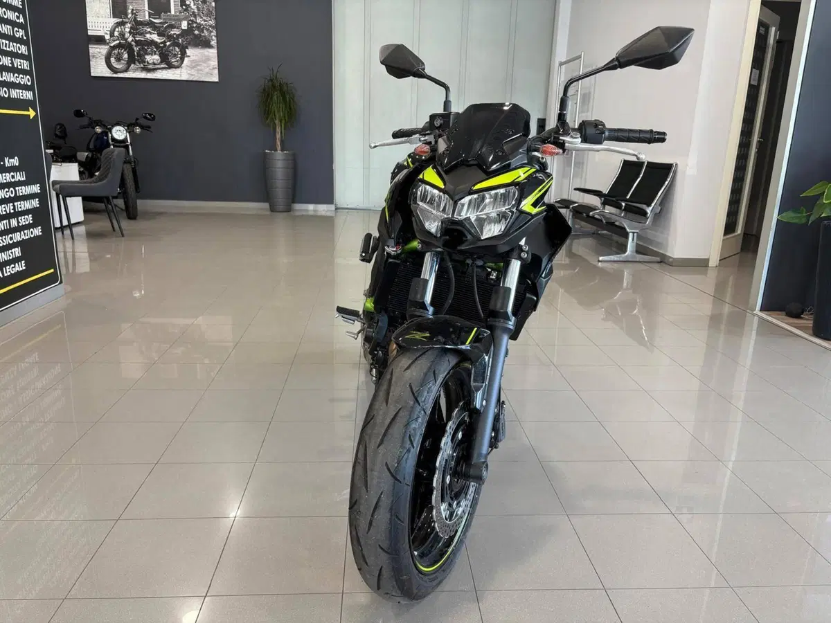 Kawasaki Z 650 (2020) (2)