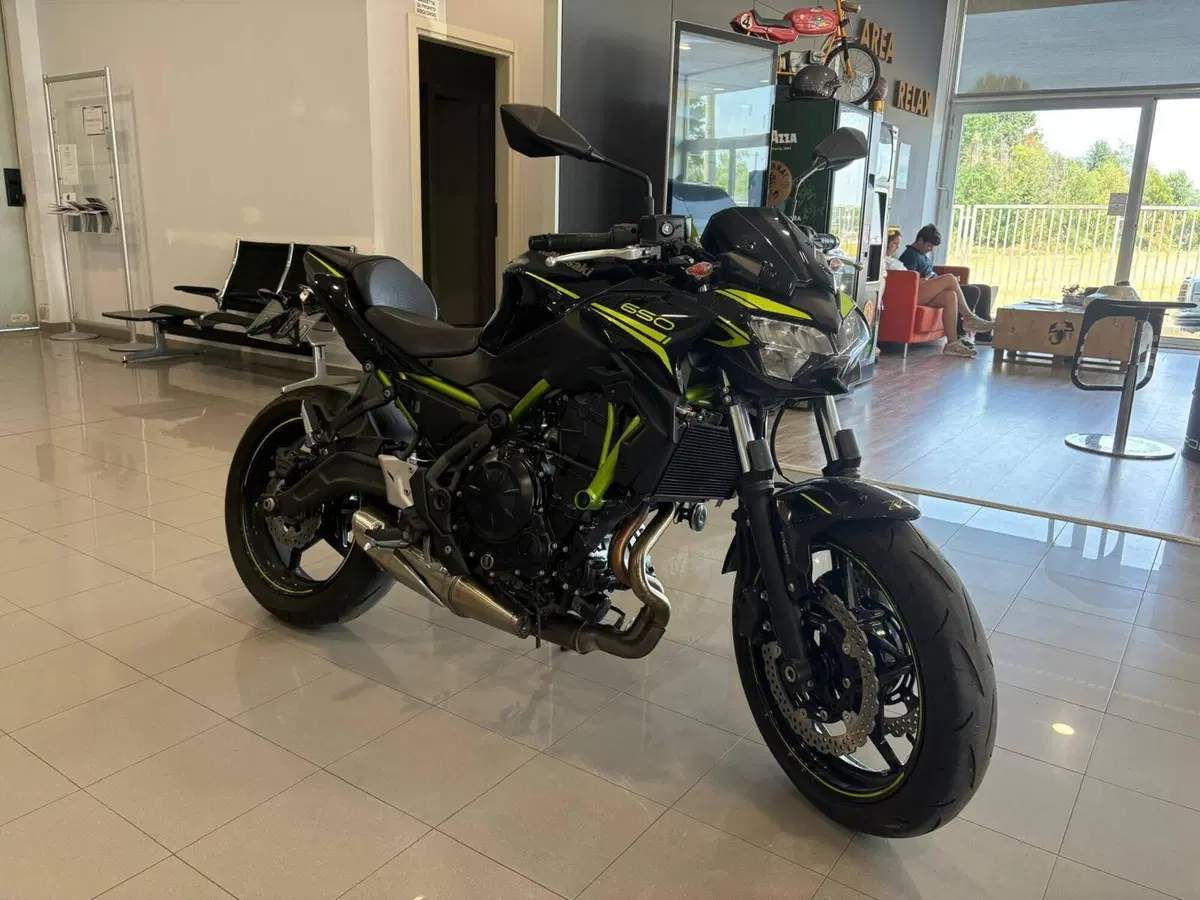 Kawasaki Z 650 (2020) (3)
