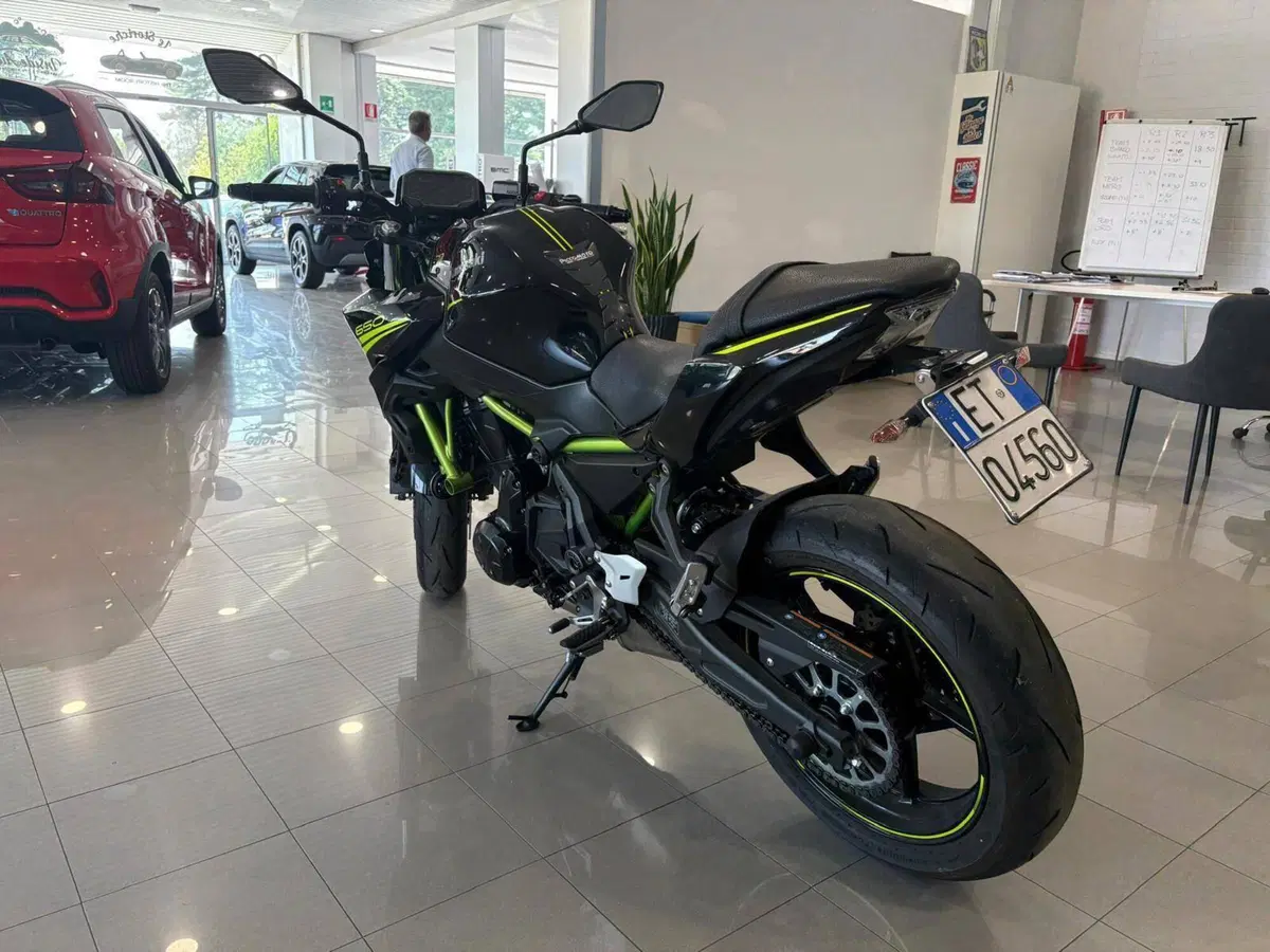 Kawasaki Z 650 (2020) (5)