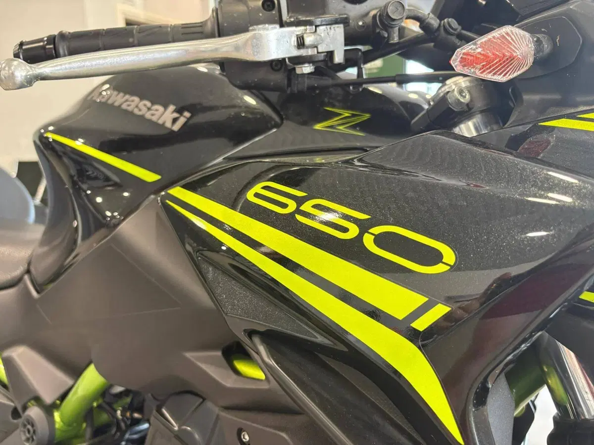 Kawasaki Z 650 (2020) (14)