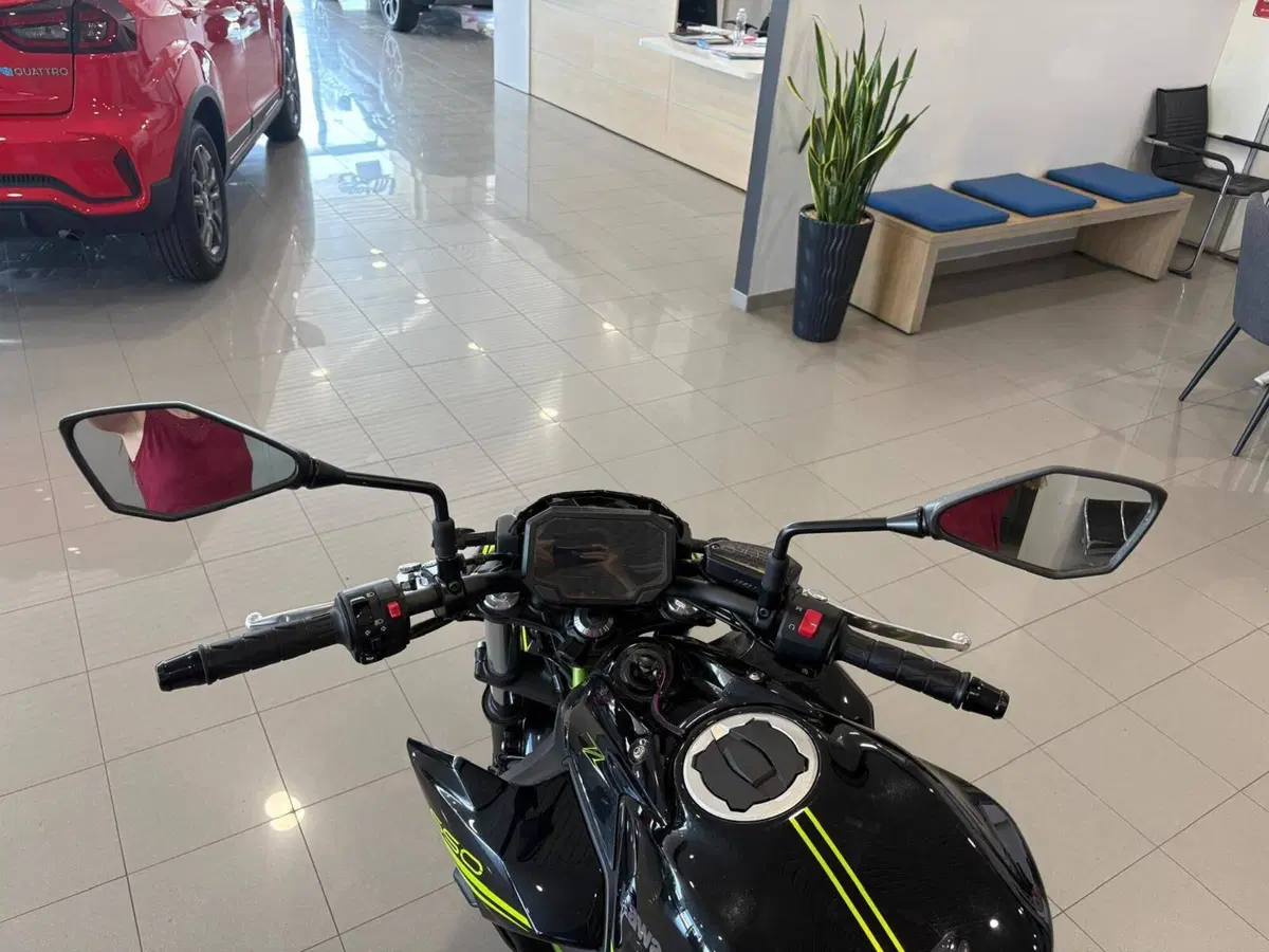 Kawasaki Z 650 (2020) (7)